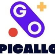 (c) Picallo.info